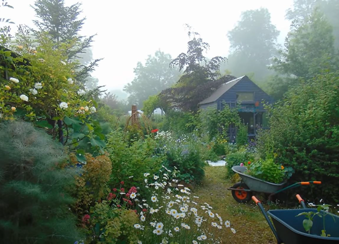 After transformation: a lush garden path with flowers and dense planting