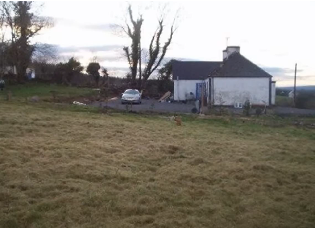Before transformation: an open grass field before food forest design